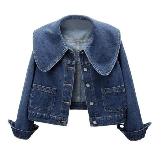 Denim Collared Jacket