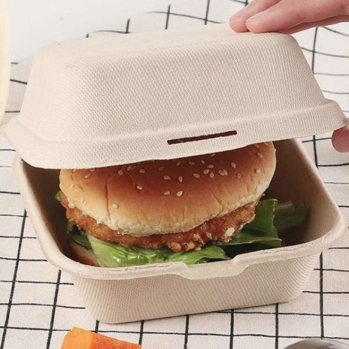 Takeout Box 10 pc