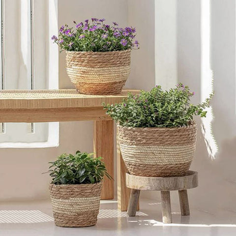 Wooden Planter Basket 3 pc