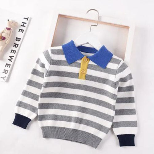 Striped Polo Sweater