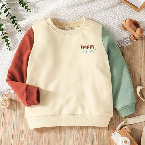 Toddler Boys Colorblock Embroidered Sweatshirt