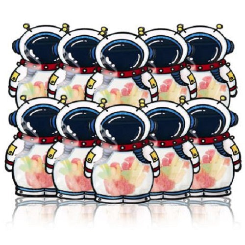 Astronaut Ziplock Bags