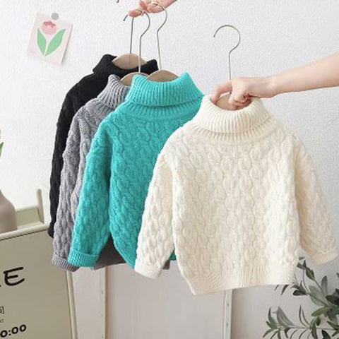 Chunky Knit Turtleneck