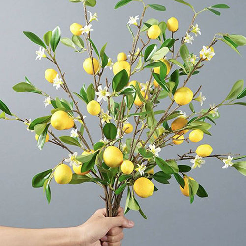 Plastic Artificial Lemon – Ali Affordable