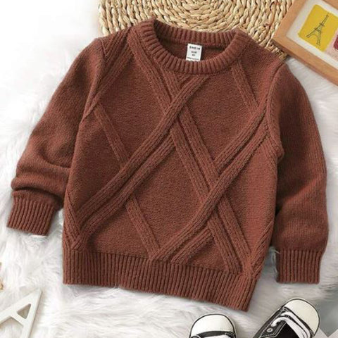 Toddler Boys Textured Knit Sweater