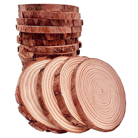 Wood Slice 10 pc