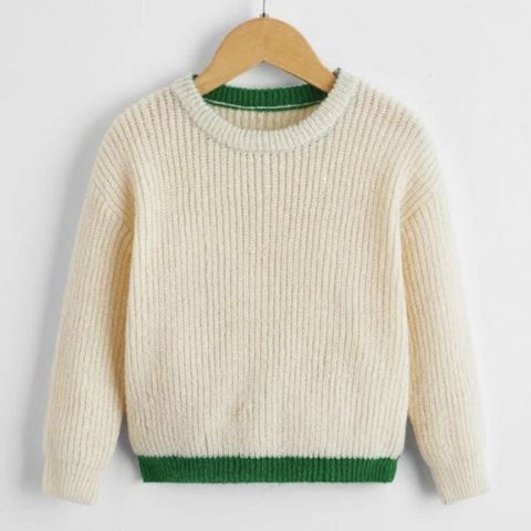 Toddler Boys Contrast Trim Drop Shoulder Sweater