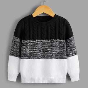 Toddler Boys Colorblock Cable Knit Sweater