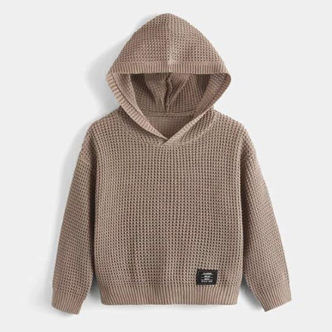 Toddler Boys Patch Detail Hooded Sweater