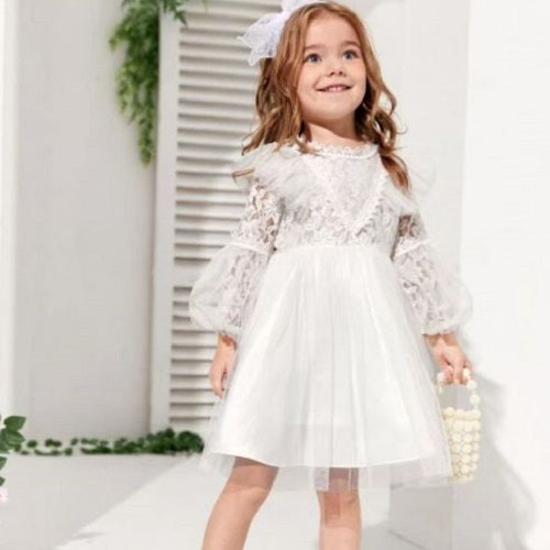 Toddler Girls Lace Mesh Dress