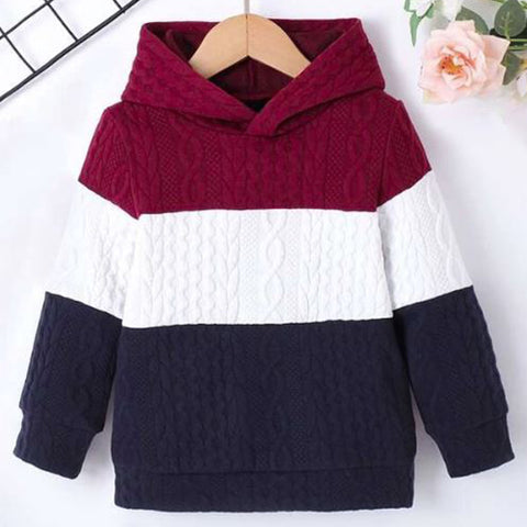 Toddler Boys Cable Textured Hoodie