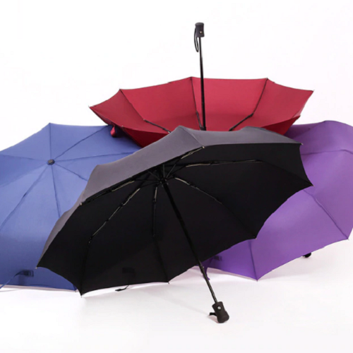 Auto Fold Umbrella